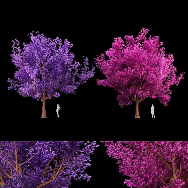 Blossoming Beauty: Cherry Tree Paradise 3D model image 1 