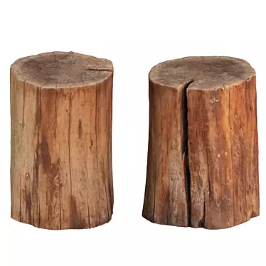  Rustic Wood Slice Coaster Set 3D model image 1 