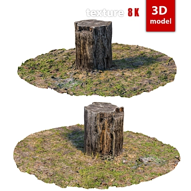 Detailed 3D Stump Model 3D model image 1 