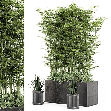 Rusty Concrete Pot: Outdoor Bamboo Plants 3D model image 1 