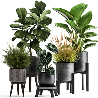 Exotic Plant Collection: Tropical Foliage in Black Pots & Vases 3D model image 1 