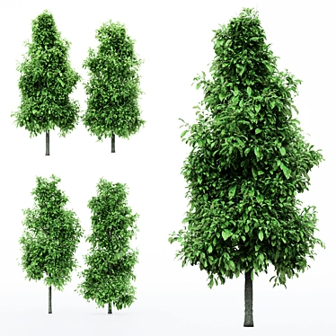 Title: Spring Blossom: 5 Tree Varieties 3D model image 1 