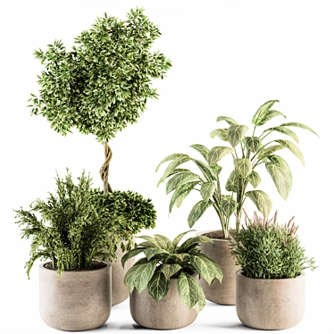 Vibrant Indoor Plant Set 3D model image 1 