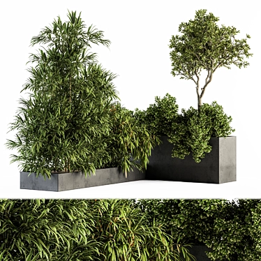 Nature's Oasis: Outdoor Plant Set 3D model image 1 