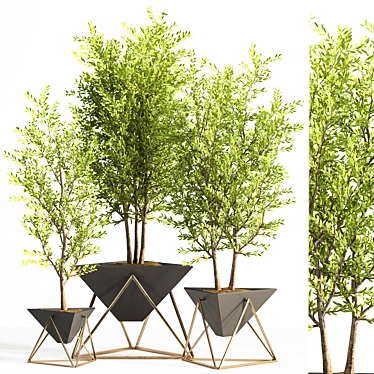 Contemporary Indoor Plant Set 3D model image 1 