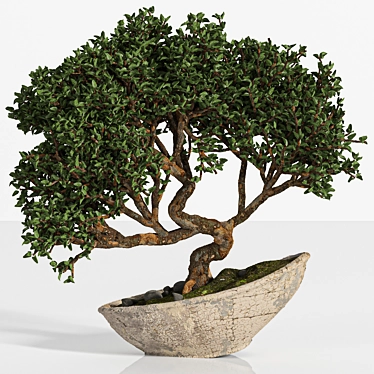 Artistic Bonsai 2015: Indoor Zen 3D model image 1 