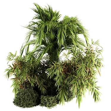Tropical Palm Bush - Set 38 3D model image 1 