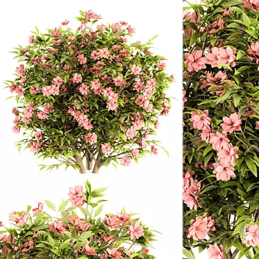 Pretty in Pink: Floral Bush Set 29 3D model image 1 