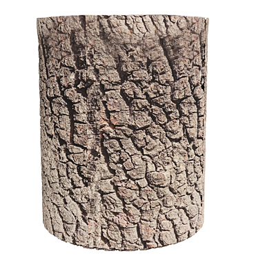 Natural Wood Trunk Texture 3D model image 1 