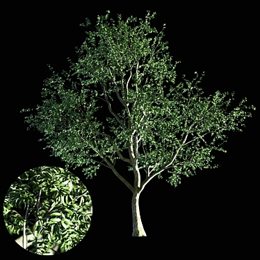 Nature's Shield: Tree Exterior 3D model image 1 