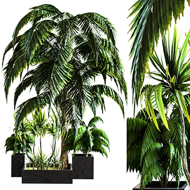 2015 Outdoor Plant Vol. 03 3D model image 1 
