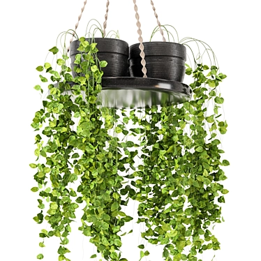  Rusty Concrete Pot Hanging Plants 3D model image 1 