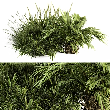 Tropical Paradise Bush Set 3D model image 1 