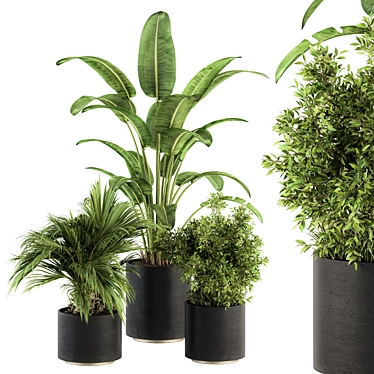 Refreshing Greenery: Indoor Plant Set 3D model image 1 