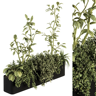 Nature's Oasis: Indoor Plant Set 3D model image 1 