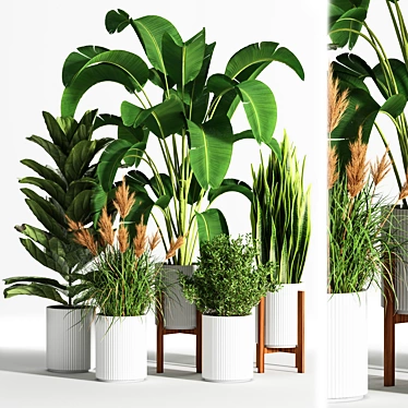 Indoor Set Plant 05 - Stylish Decor for Your Home! 3D model image 1 