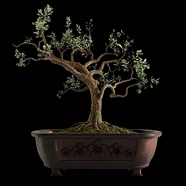 Bonsai Tree Design with Pot 3D model image 1 