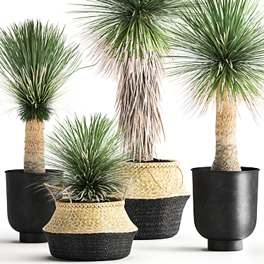 Tropical Plant Collection: Exotic Yucca in Vig Planter 3D model image 1 