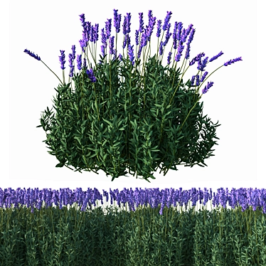 Elegant Lavender Floral Sculpture 3D model image 1 