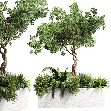 Indoor Plant Collection: 82 Garden Pot Tree Palm 3D model image 1 