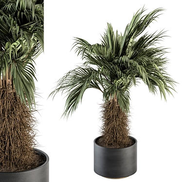 Tropical Delight: Palm Plant Set 3D model image 1 