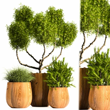 Modern Indoor Plant Stand 12: Stylish & Functional 3D model image 1 