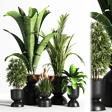 Sleek Indoor Plant Set 06 3D model image 1 