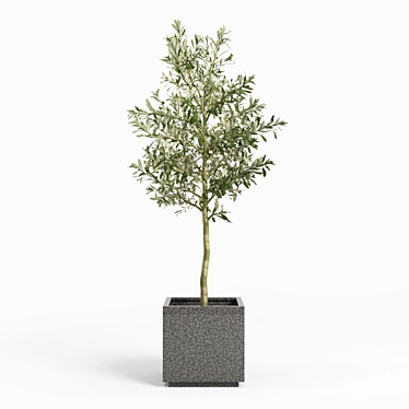 Modern Gray Rectangular Planter 3D model image 1 