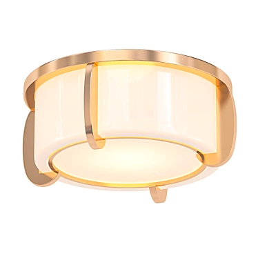 Vintage Talon Brass Ceiling Light 3D model image 1 