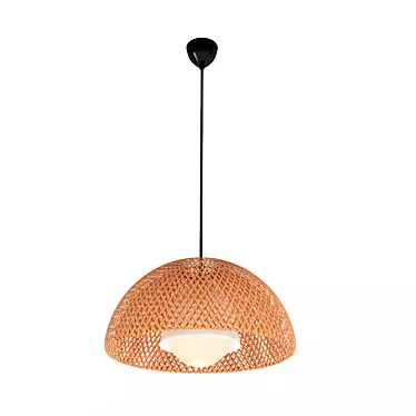 Organic Bamboo Pendant Lamp 3D model image 1 