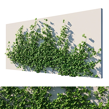 Lush Vitis Coignetiae Vines 3D model image 1 