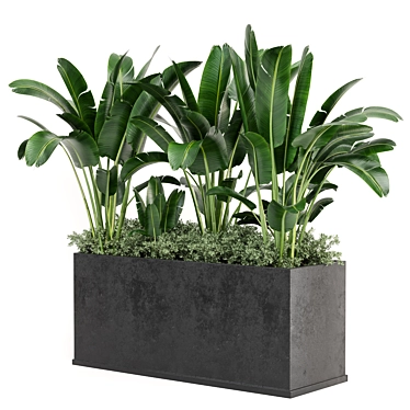 Concrete Pot Outdoor Plants Set 3D model image 1 