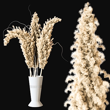 Elegant Pampas Grass Bouquet 3D model image 1 