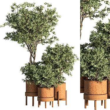 Green Oasis: Indoor Plant Set 44 3D model image 1 