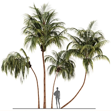 Lush Green Palm Tree Set 185 3D model image 1 