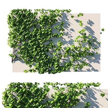 Vitis Coignetiae 02: Lifelike Grape Vine 3D Model 3D model image 1 