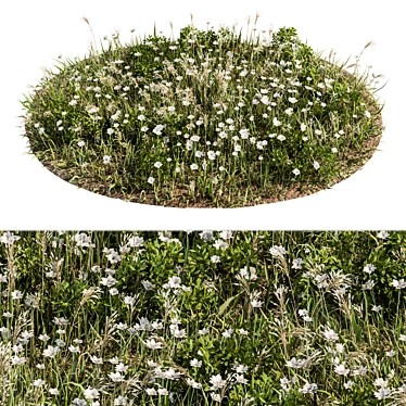 Lush Turf Blooms: Grass Set 05 3D model image 1 