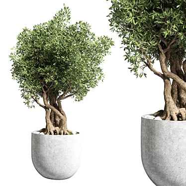 Modern Concrete Vase Outdoor Plant 3D model image 1 