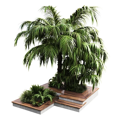 Outdoor Garden Pot Collection - Palm Tree, Bush, Fern, Grass in Concrete Vase 3D model image 1 