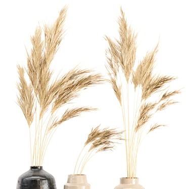 Natural Beauty: Dried Pampas Plant in Handmade Vase 3D model image 1 