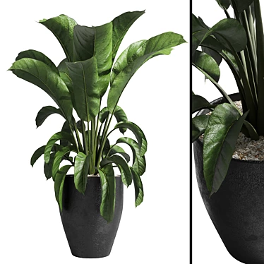 Modern Concrete Vase for Indoor Plants 3D model image 1 