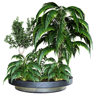 2015 Outdoor Plant Vol 04: High-Quality 3D Model 3D model image 1 