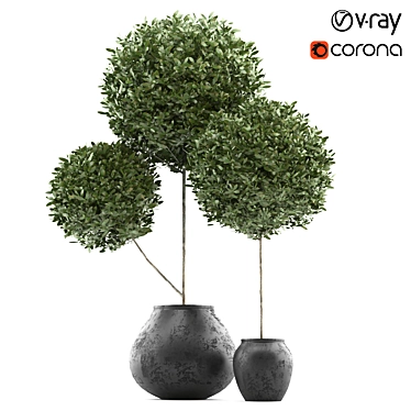 Elegant Topiary Ball in Pot 3D model image 1 