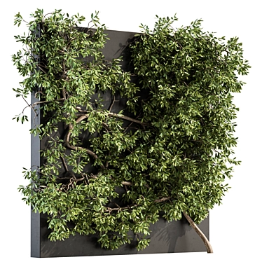 Wall-mounted Ivy Plant Set 3D model image 1 