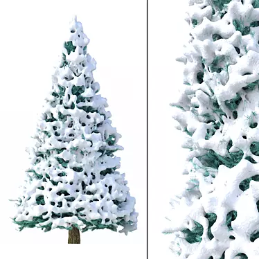 Snowy Fir Tree 3D Model 3D model image 1 