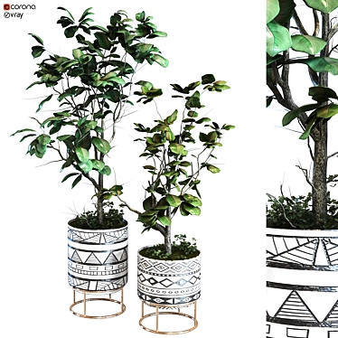 Elegant Plant Vase Set 3D model image 1 