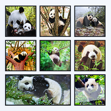 Panda Photo Frame Set | Modern Design 3D model image 1 