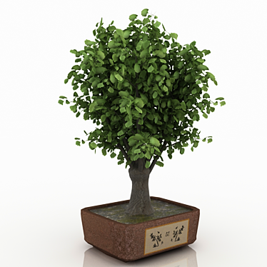 Miniature Greenery: Bonsai Tree 3D model image 1 