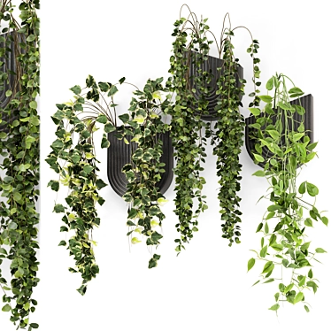 Concrete Pot Indoor Hanging Plants 3D model image 1 