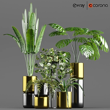 5-Piece Indoor Plant Pot Set 3D model image 1 